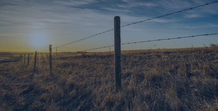African Gate & Fence